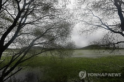 환경단체 "주남저수지 건축 인허가 논의 민관협의회 개최 반대"