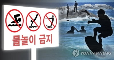 해수욕장에서 물놀이 중 바다 빠진 손자 구하려던 할아버지 숨져