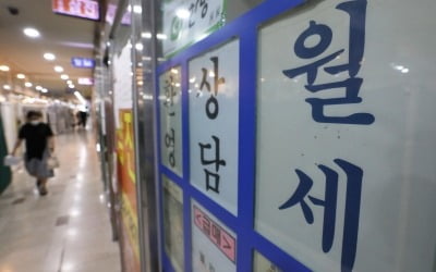 월세 100만원 넘는 서울 아파트, 1년 만에 48% 늘었다