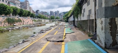 건설·보험株, 폭우 피해 복구 기대감에 강세…현대건설 4%대 ↑