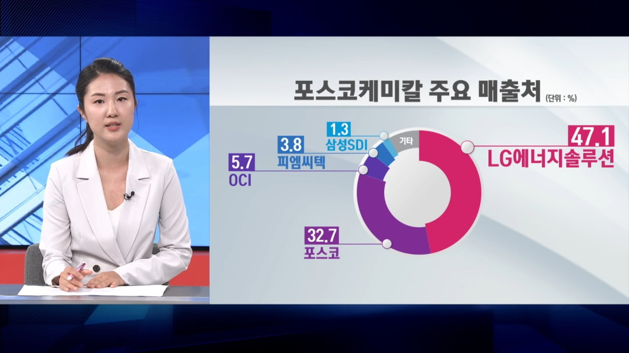 포스코케미칼 배터리소재 1조 누가 사갔나…"올해 매출 50%↑"