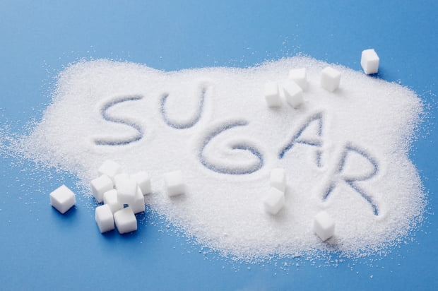 브라질 작황과 유럽의 에너지 대란 사이에서 설탕 가격 향방은 [원자재 포커스]