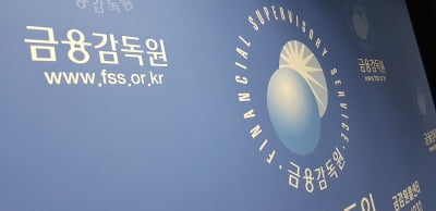 내부회계관리제도 위반 97건…48건에 최대 1500만원 과태료