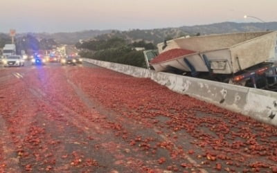 "토마토 축제도 아닌데…" 美 고속도로 덮은 토마토 15만개