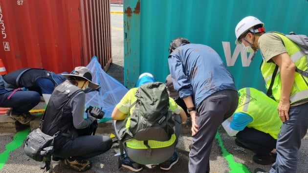 붉은불개미 발견 현장에서 전문가들이 합동조사를 벌이고 있다. /사진=농림축산식품부 