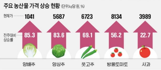 "양배추 왜 이렇게 비싸?"…역대급 태풍에 농산물값 '초비상' 