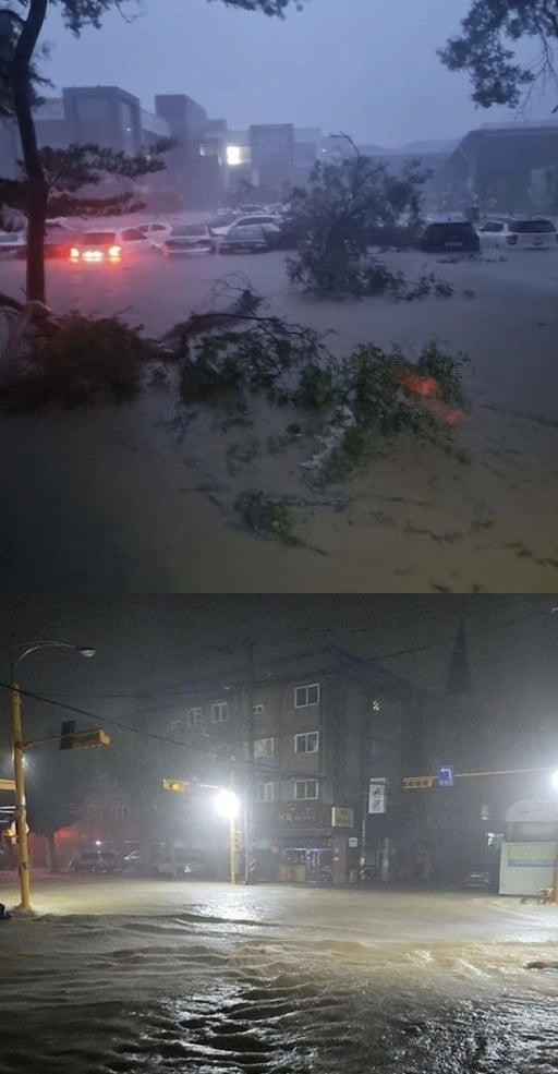 경북 포항에 폭우가 쏟아진 가운데, 포항의 네티즌들이 실시간으로 현지 상황을 공유한 모습. / 사진=온라인 커뮤니티