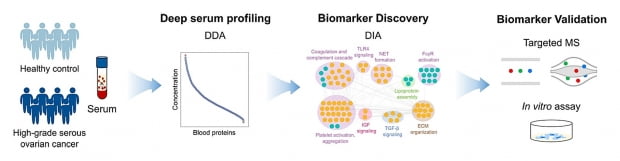 고등급 장액성 난소암 후보 바이오마커 발굴 과정.