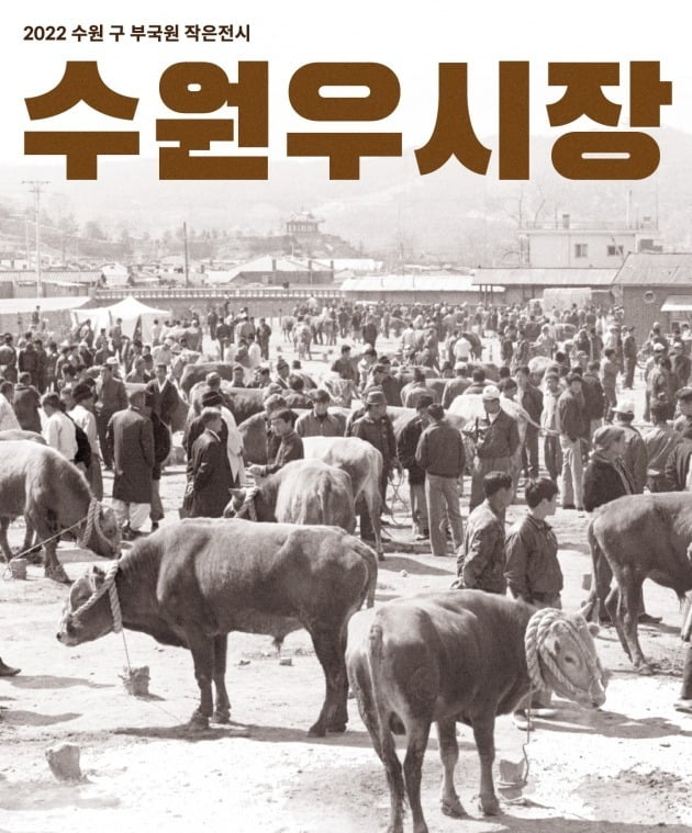 수원특례시가 오는 12월 27일까지 구 부국원에서 개최하는 '전국 3대 우시장 전시회'의 포스터.수원특례시 제공