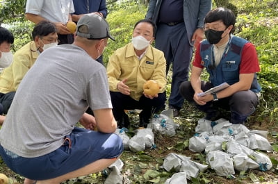 NH농협손보 "태풍피해 농작물 사고 조사에 총력"