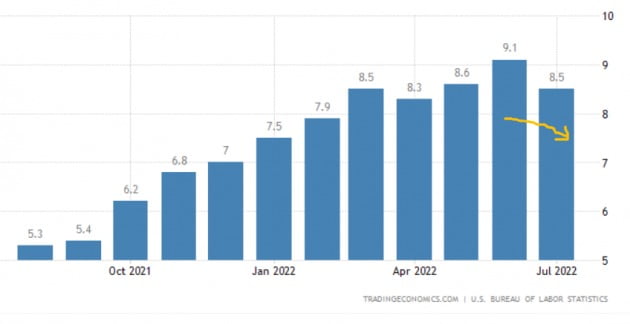 미국의 인플레이션은 지난 7월 소폭 둔화했으나 여전히 높다. 미 노동부 및 트레이딩이코노믹스 제공
