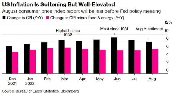 블룸버그통신은 8월의 전년 동기 대비 CPI 상승률을 8%로 예상했다. 블룸버그 제공 