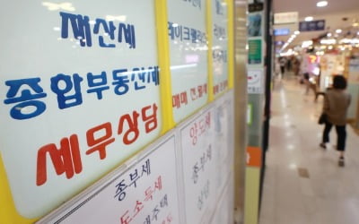 "세금만 천정부지"…종부세 체납액 1년 만에 101% 폭등