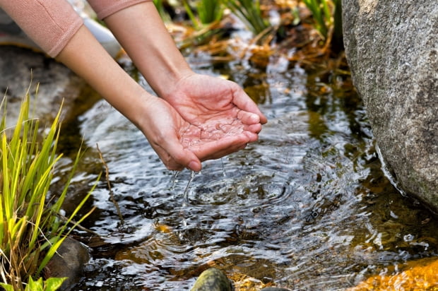 삼성전자 직원이 15일 경기 화성사업장 ‘그린센터(폐수처리시설)’에서 정화시킨 물로 조성한 연못에서 손을 적시고 있다. 삼성전자 제공