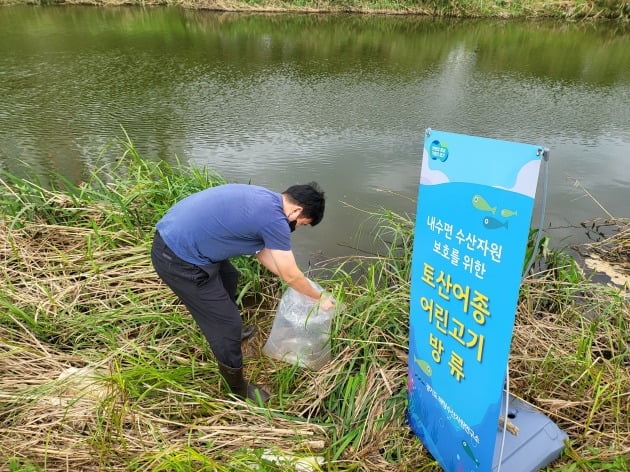 미꾸리를 방류하는 모습. 경기도 제공