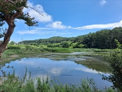 [한경 매물마당] 수원시 고등지구 아파트 앞 수익형 상가 등 6건