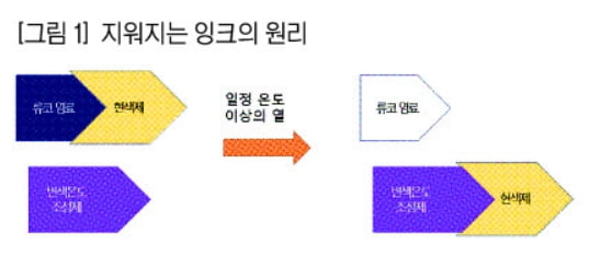 [과학과 놀자] 영수증 글씨가 나타났다 사라지는 건 화학물질의 요술