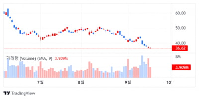 도이치 뱅크, 웨스턴 디지털 '보류'로 하향