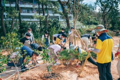 현대차, 홍천·군산에 친환경숲 '아이오닉 포레스트' 만든다