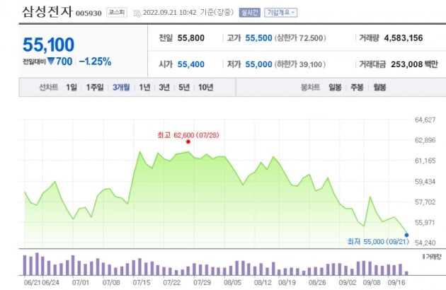 "이 정도면 반려주식"…'국민주'에 물린 개미들 피눈물