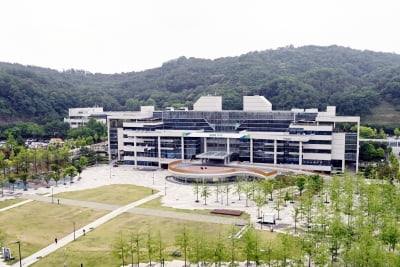 경기도,  내달 1일부터 ‘2022년 경기평화광장 잔디밭 영화제' 개최