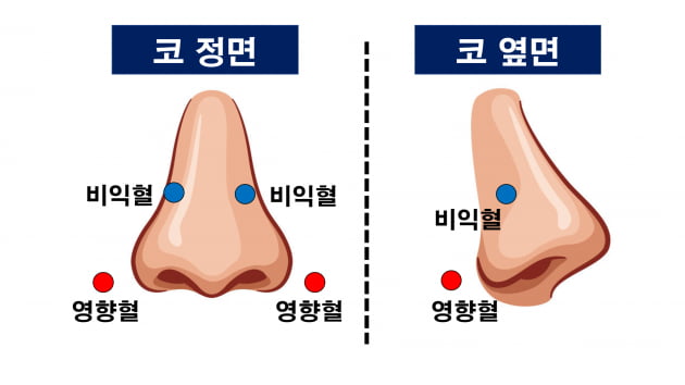 [한동하의 건강e매일] 환절기 코막힐 땐 영향혈·비익혈 지압을