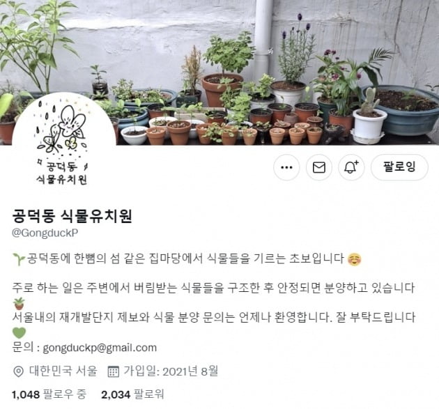 △‘공덕동 식물유치원’ 계정 프로필. 사진출처=’공덕동 식물유치원’ 트위터 페이지
