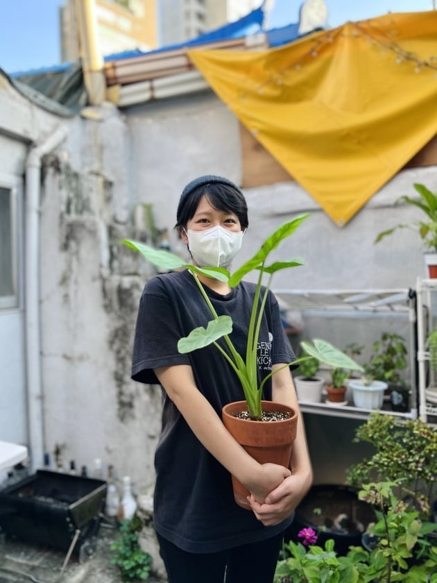 공덕동, 연희동, 노량진···버려진 식물이 있는 곳이라면 어디든지 달려가는 그녀