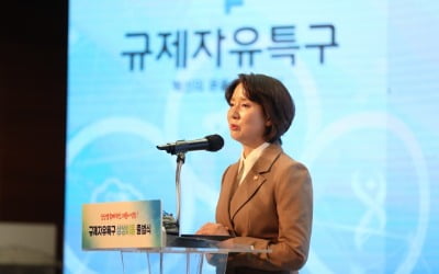 전국 규제자유특구 간 시너지 낸다…중기부, '상생이음' 출범