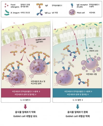 지아이이노베이션 "식품 알레르기 효능 결과, 국제학술지 게재"