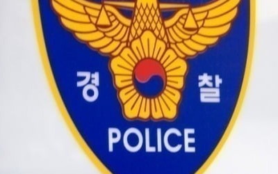 "반말하는 줄 알고"…운전 중인 대리기사 폭행한 50대 입건