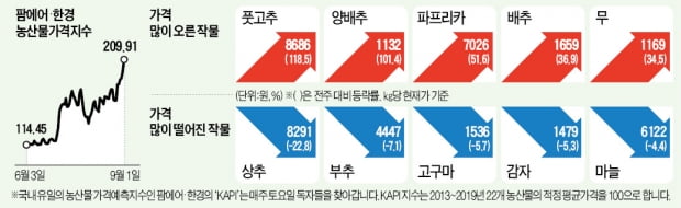 "쓸 만한 우거지도 찾을 수 없어"…최악 작황에 농산물 가격 급등