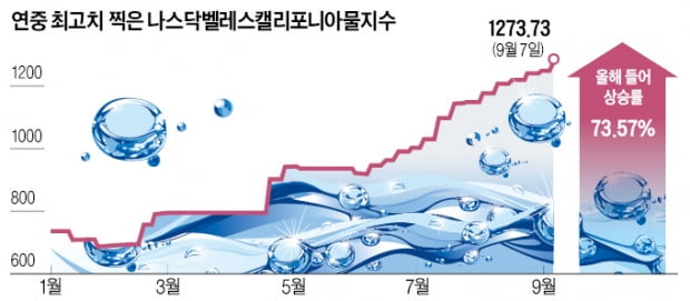 "물은 새로운 금"…월가 고수, 水읽기 통했다