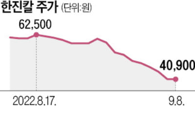 2주 만에 1300억 증발…기관들 '무덤' 된 한진칼