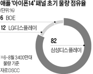 삼성디스플레이, 호실적 기대감…아이폰 패널 수주 경쟁서 '완승'