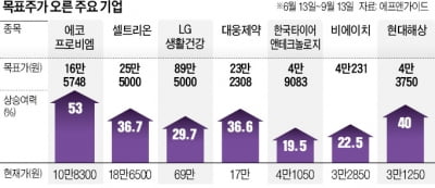 증권가 "더 뛴다" 합창…'만장일치株' 사볼까