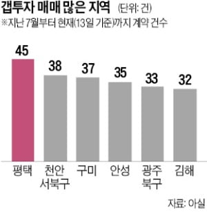 '깡통전세' 안무섭다?…평택·안성 등 여전히 갭투자 기승