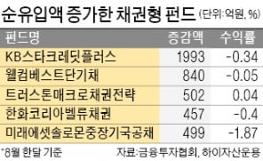 마이너스 수익률 속출하는데…자금 몰리는 채권형 펀드, 왜?