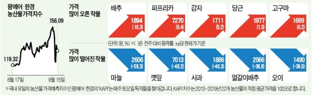 배추값 폭등에 포장김치 '품절 대란'…가격도 올라