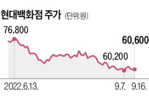 현대백화점·현대그린푸드, 지주회사 체제로 전환