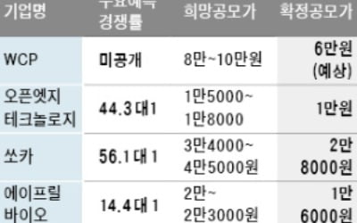 2차전지 너마저…줄줄이 IPO 흥행 참패