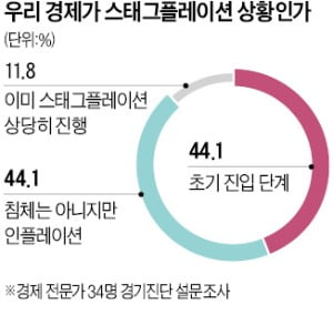 경제 전문가 56%…"이미 S터널 진입"