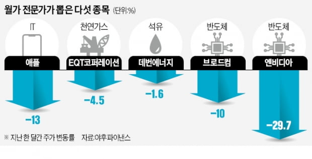 불확실성의 시대…월가 애널은 '5종목' 찜했다