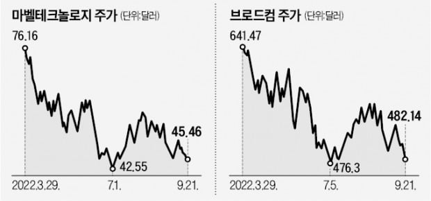 "마벨·브로드컴, 약세장 버틸 반도체株"