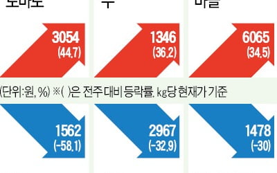 시금치 무침 다시 식탁 오르나…상승세 한풀 꺾여