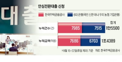 이자 덜어주는 안심전환대출…까다로운 요건에 흥행 '저조'