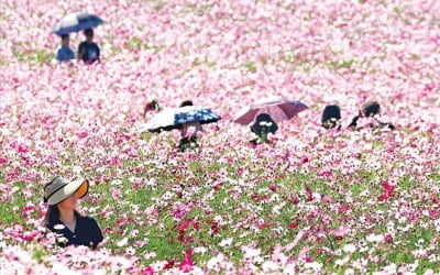  가을 정취 만끽하는 시민들