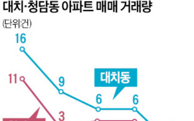 "토지거래허가구역 필지별 지정"…대치동 숨통 트이나