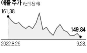 약세장에도…美 개인들, 애플·테슬라는 샀다