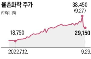 배터리株 변신?…율촌화학의 '수상한 주가'